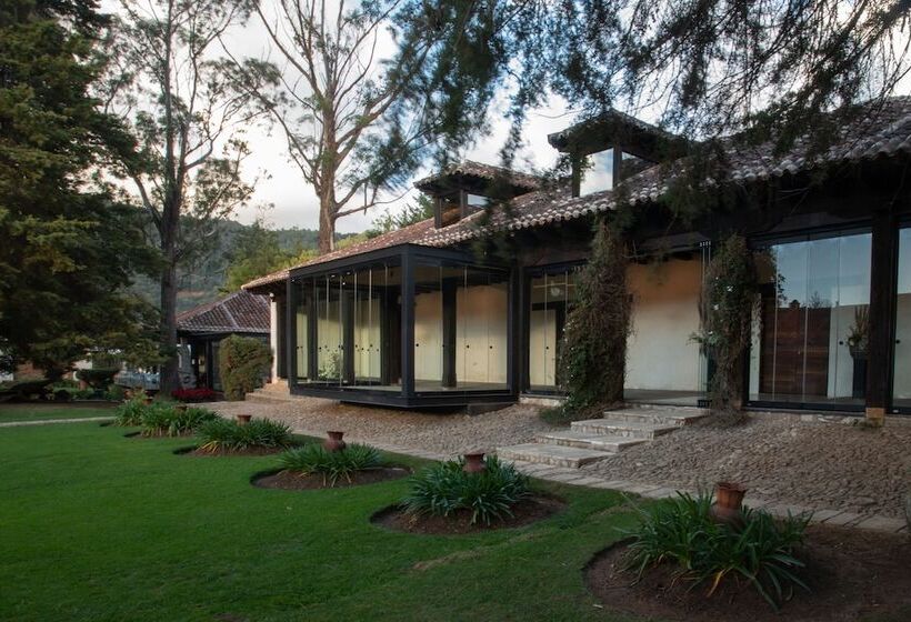 فندق Uvence Arte +