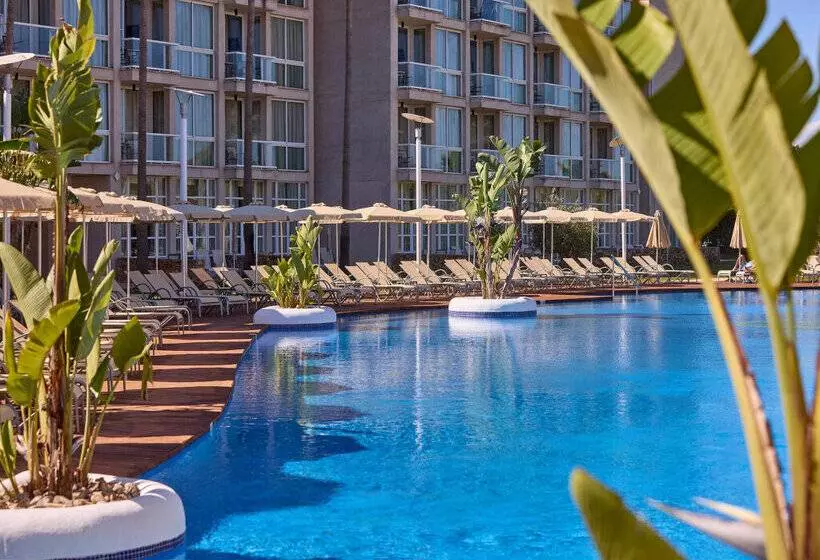 호텔 Zafiro Alzinar Mar- Adults Only