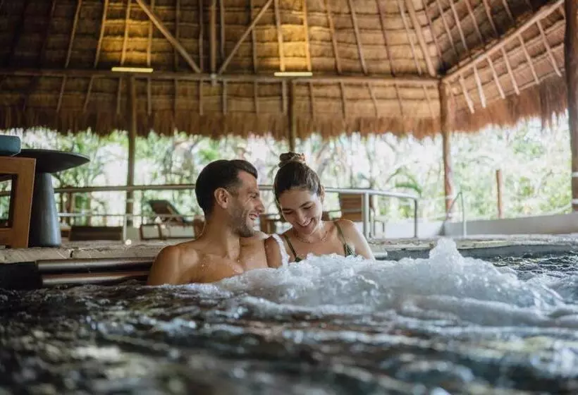 渡假胜地 Hyatt Zilara Riviera Maya Adults Only All Inclusive