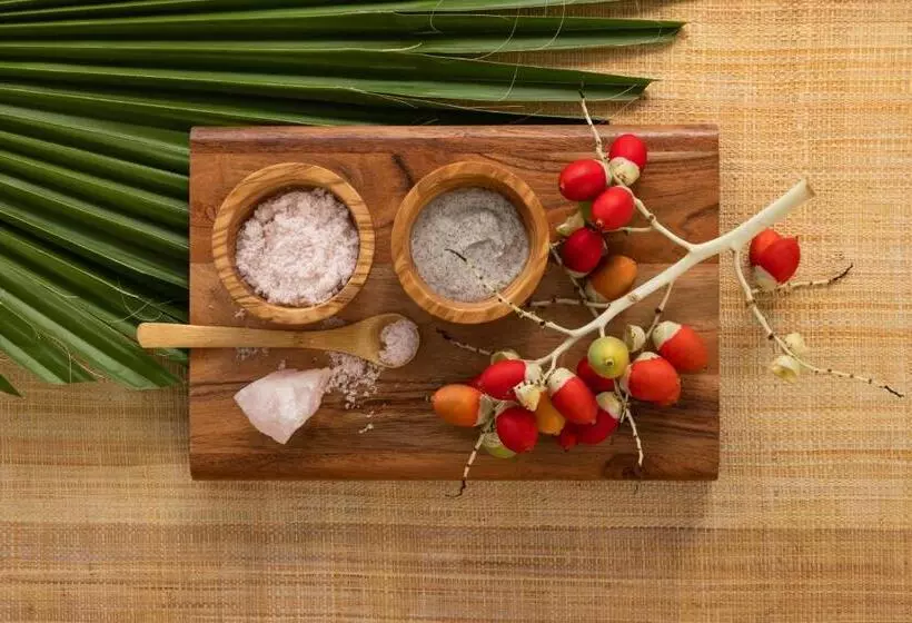 渡假胜地 Hyatt Zilara Riviera Maya Adults Only All Inclusive