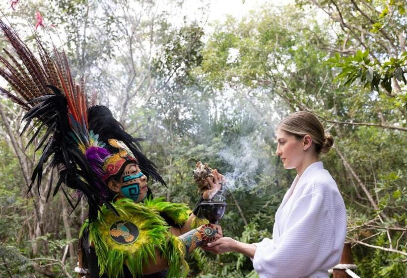 Resort Hyatt Zilara Riviera Maya Adults Only All Inclusive