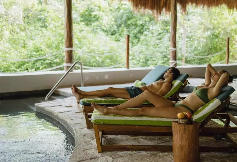 渡假胜地 Hyatt Zilara Riviera Maya Adults Only All Inclusive