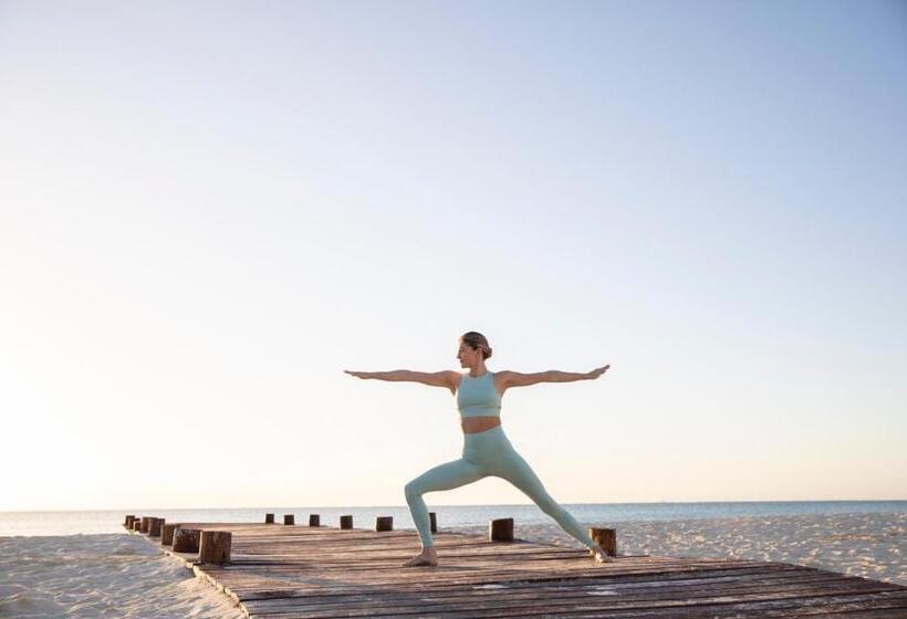 Resort Hyatt Zilara Riviera Maya Adults Only All Inclusive