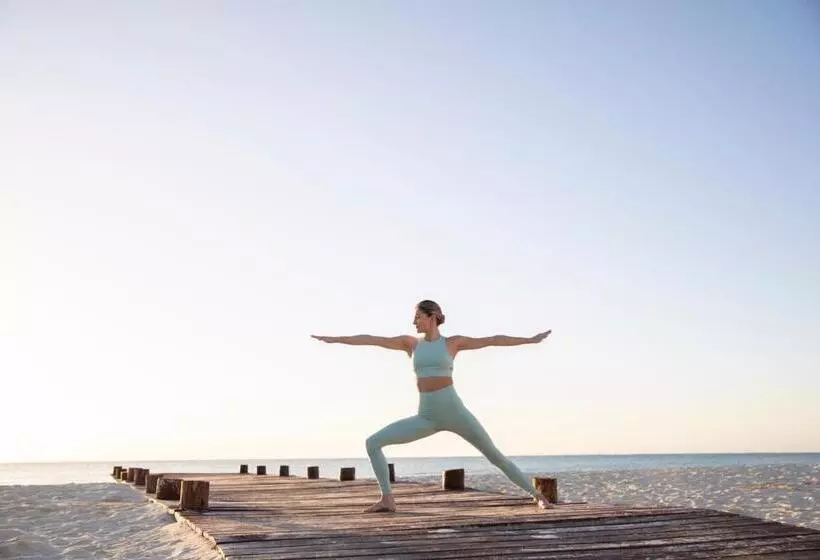 渡假胜地 Hyatt Zilara Riviera Maya Adults Only All Inclusive