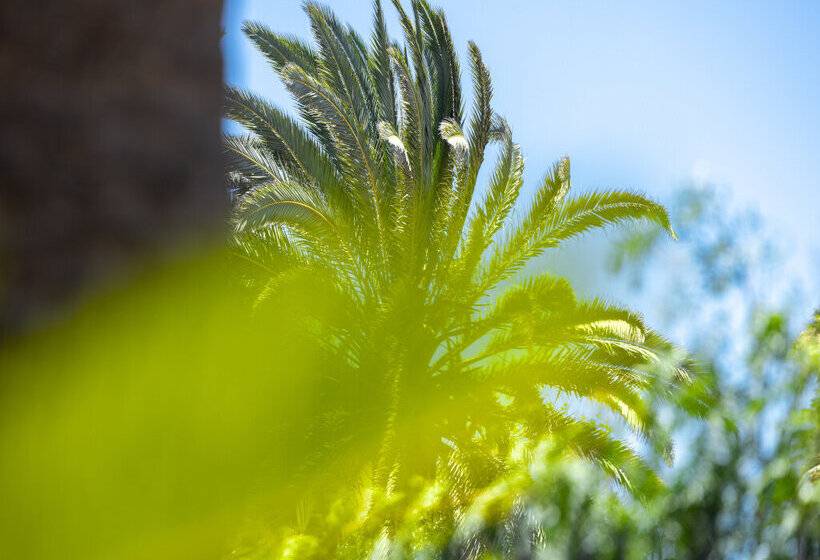 Fuentepark Apartamentos