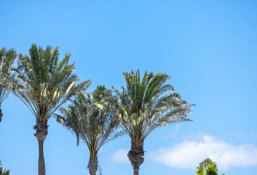 Fuentepark Apartamentos