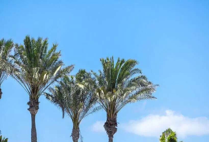 Fuentepark Apartamentos