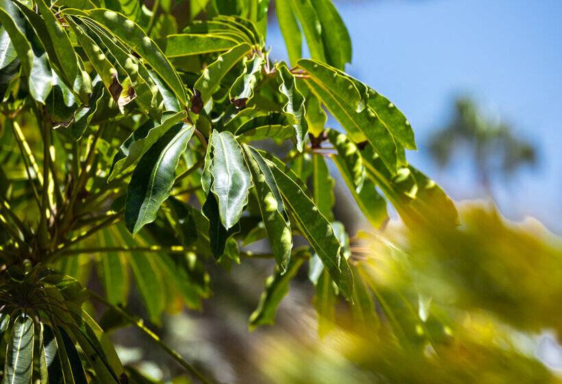 Fuentepark Apartamentos