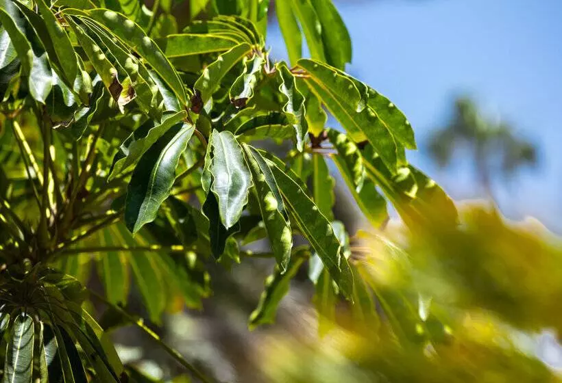 Fuentepark Apartamentos