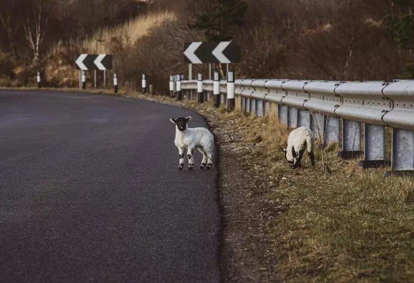 Отель Broadford