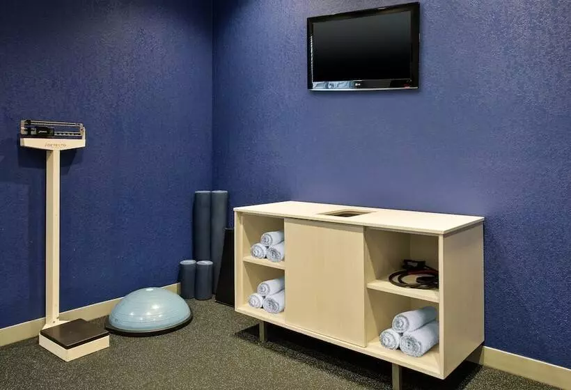 ホテル Holiday Inn Express Nashville Airport, An Ihg