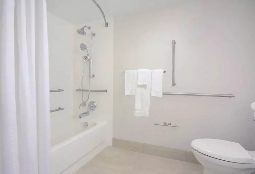 ホテル Holiday Inn Express Nashville Airport, An Ihg