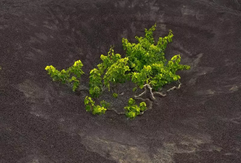 Hotel Radisson Blu Resort Lanzarote