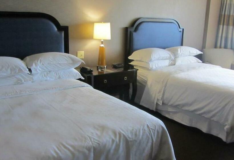 酒店 Sheraton North Houston At George Bush Intercontinental