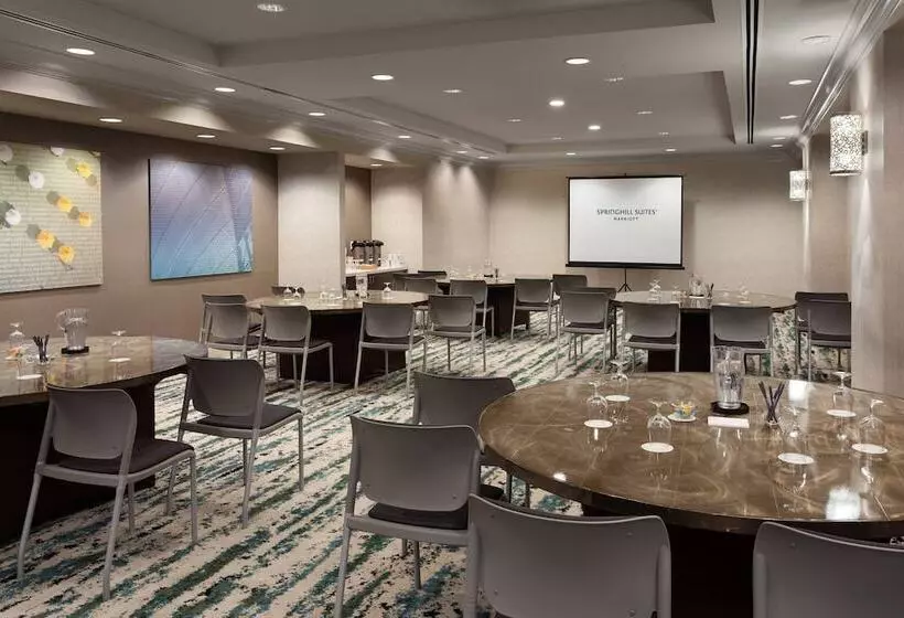 Отель Springhill Suites By Marriott Orlando Lake Buena Vista In Marriott Village