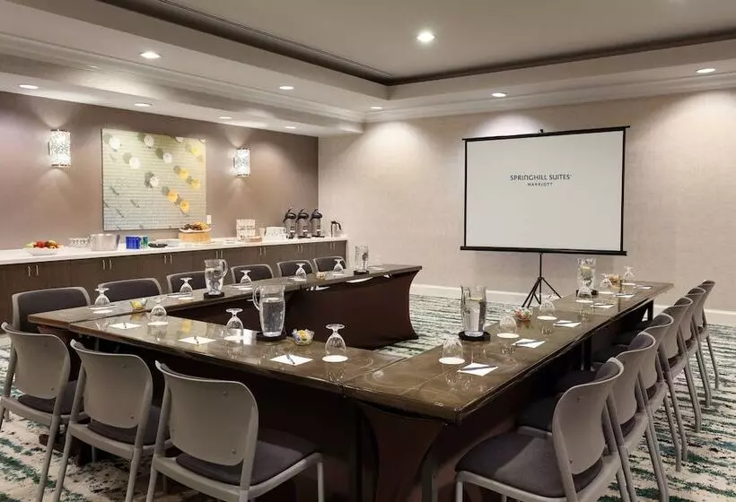 Отель Springhill Suites By Marriott Orlando Lake Buena Vista In Marriott Village