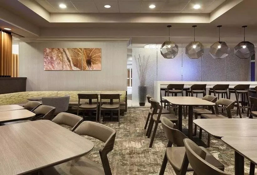 Отель Springhill Suites By Marriott Orlando Lake Buena Vista In Marriott Village