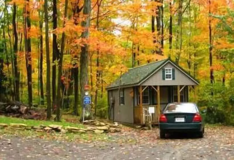 Abrams Creek Campground