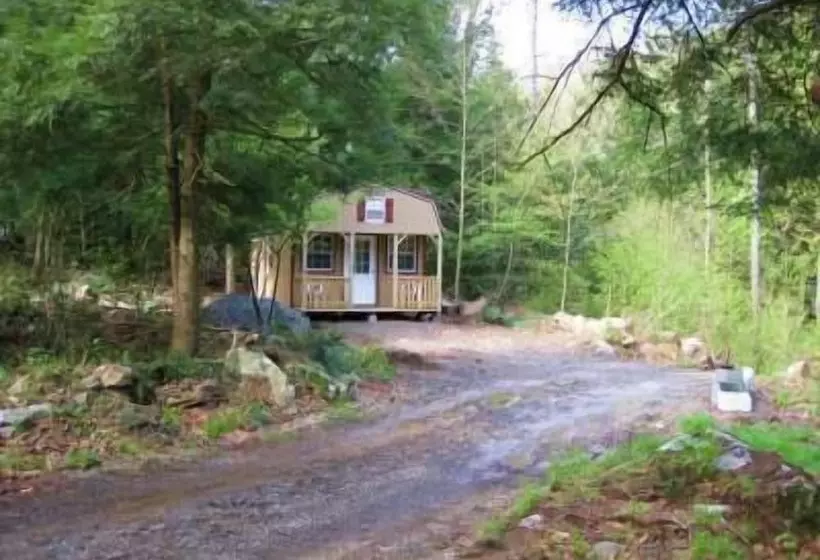 Abrams Creek Campground