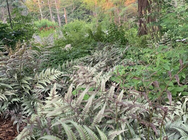 민박 The Lady Mary Inn