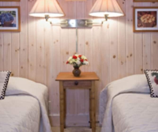 민박 The Waterford Inne