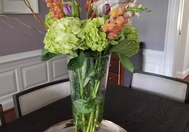 Aamiaismajoitus (B&B) Wellspring Manor & Spa