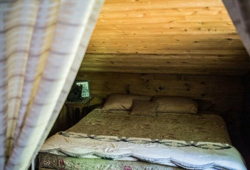 Mountain Harbour B&b And Hiker Hostel