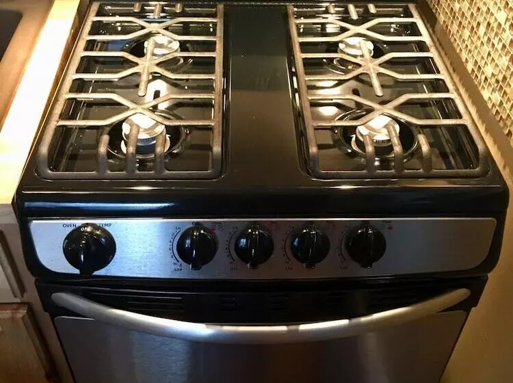 Takleetnas Mount Dall Cottage With Wi Fi And Washer/dryer