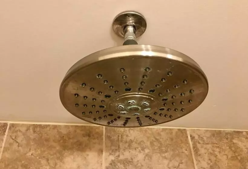 Takleetnas Mount Dall Cottage With Wi Fi And Washer/dryer