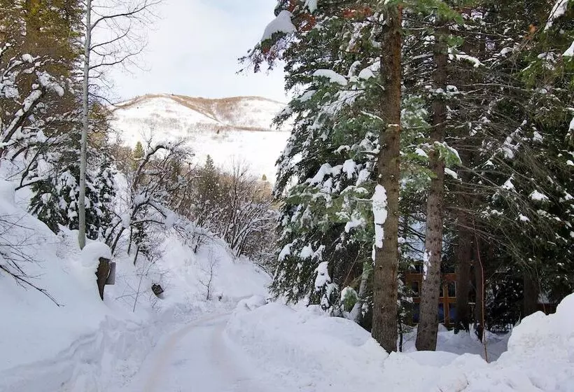 Log Cabin On The Stream