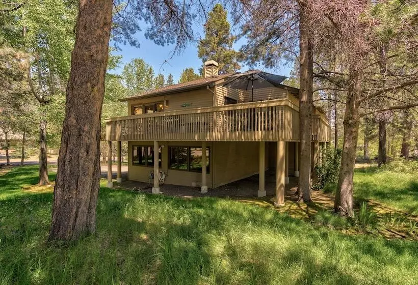 Tan Oak Lane 37