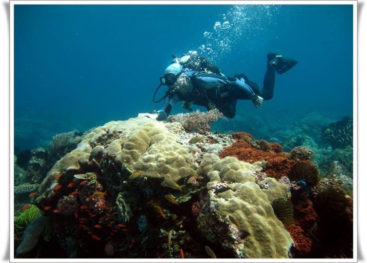 Hotel Anilao Scuba Dive Center