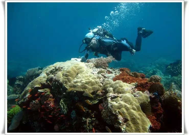 هتل Anilao Scuba Dive Center