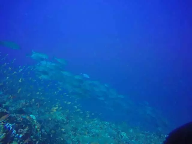 هتل Anilao Scuba Dive Center