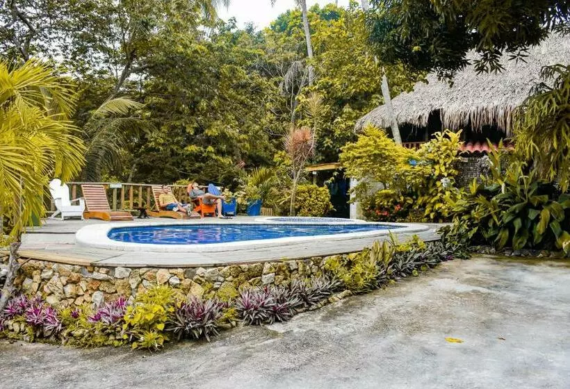 ペンション Casa Hostal Villa Del Rio