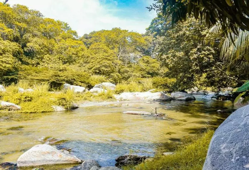 ペンション Casa Hostal Villa Del Rio