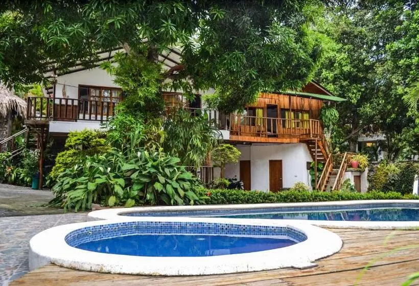 ペンション Casa Hostal Villa Del Rio
