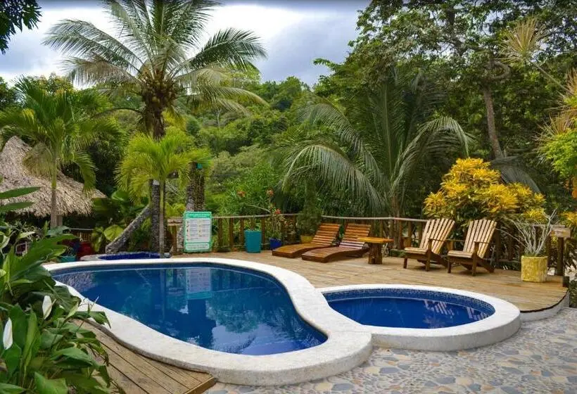 ペンション Casa Hostal Villa Del Rio