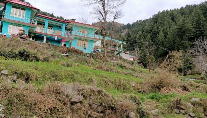 Yellow House Dharamkot