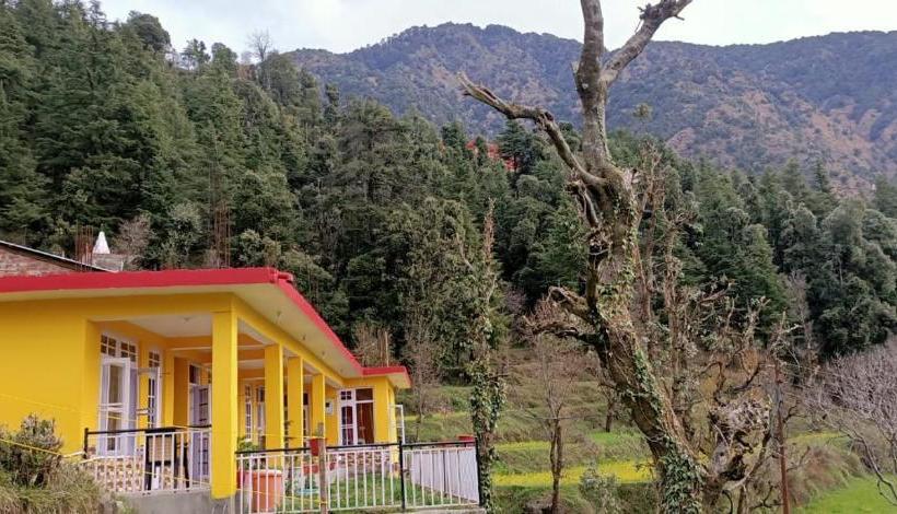 Yellow House Dharamkot