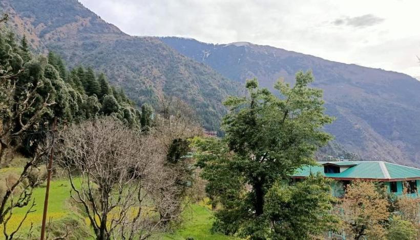 Yellow House Dharamkot