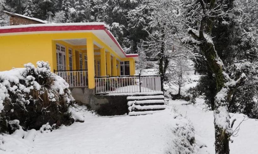 Yellow House Dharamkot