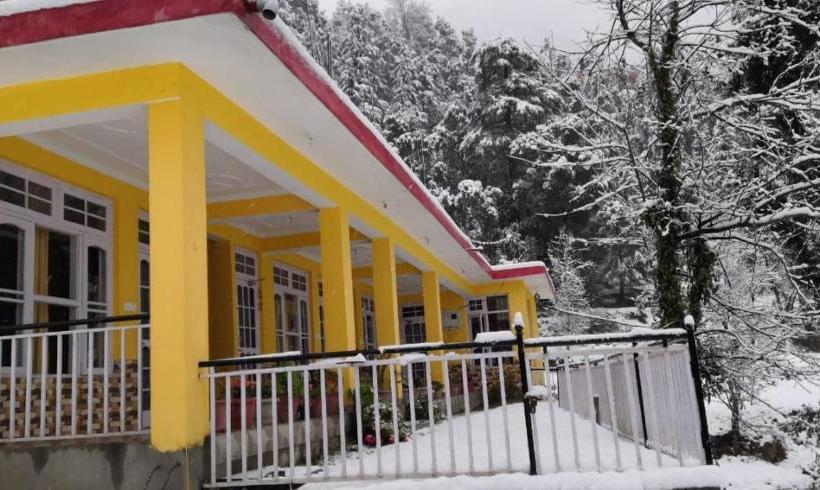 Yellow House Dharamkot