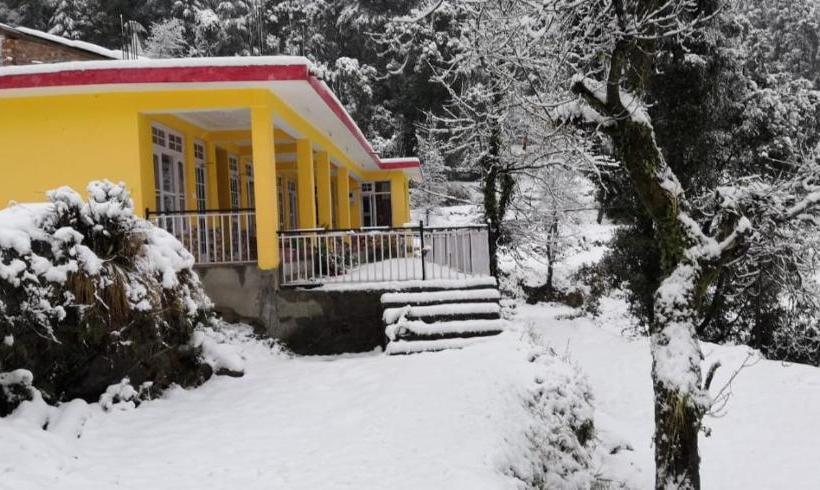 Yellow House Dharamkot