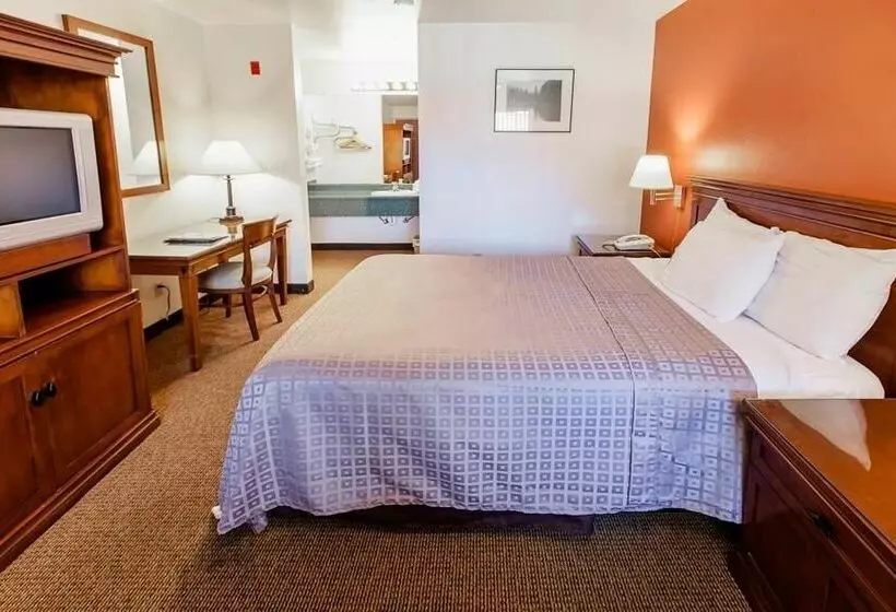 酒店 Americas Best Value Airport Inn