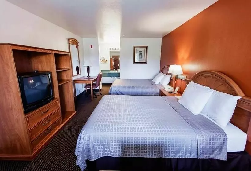 酒店 Americas Best Value Airport Inn