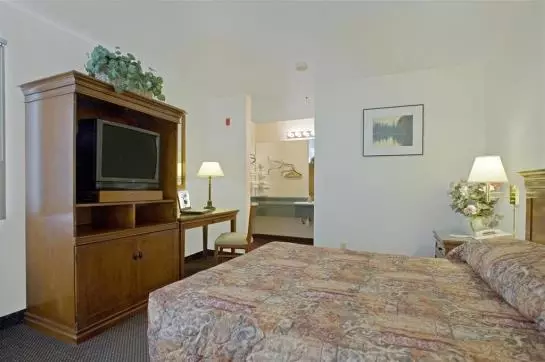 酒店 Americas Best Value Airport Inn