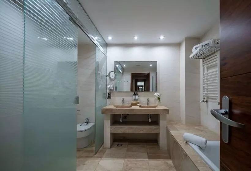 Hotel Barcelo Granada Congress