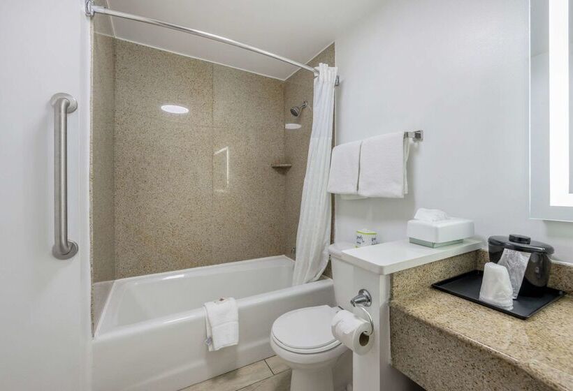 בית מלון כפרי Comfort Inn Downtown Nashville  Music City Center