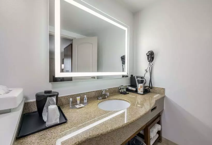 호텔 Comfort Inn Downtown Nashville  Music City Center